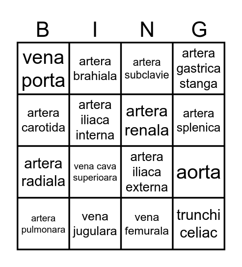 MICA SI MAREA CIRCULATIE Bingo Card