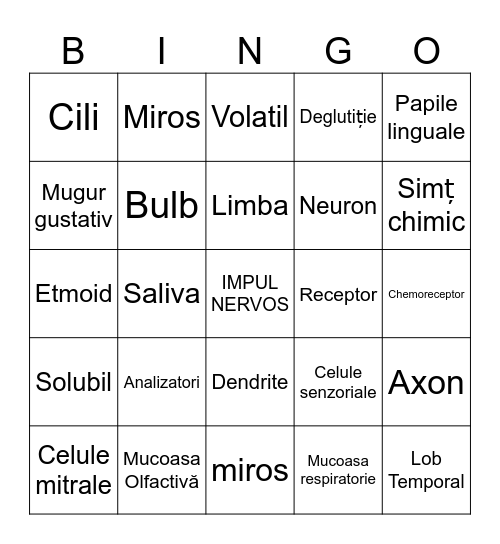 Analizatori- Nas și limba Bingo Card