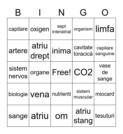 Sistemul circulator Bingo Card