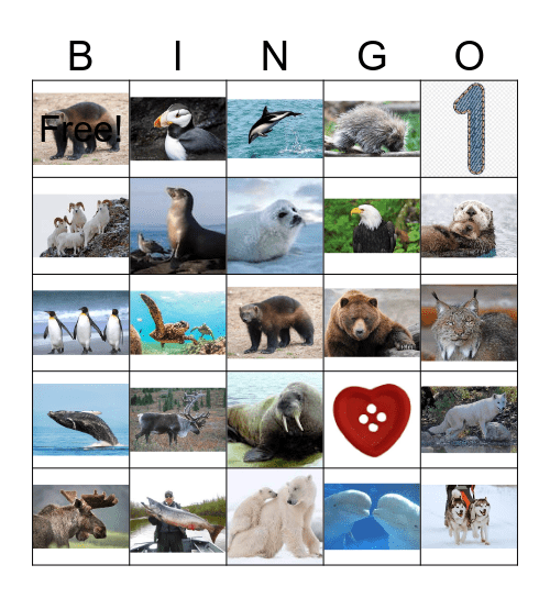 ALASKAN  ANIMALS Bingo Card