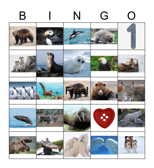 ALASKAN  ANIMALS Bingo Card