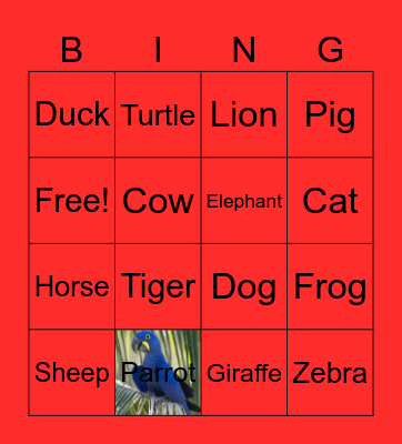 Animals Bingo Card