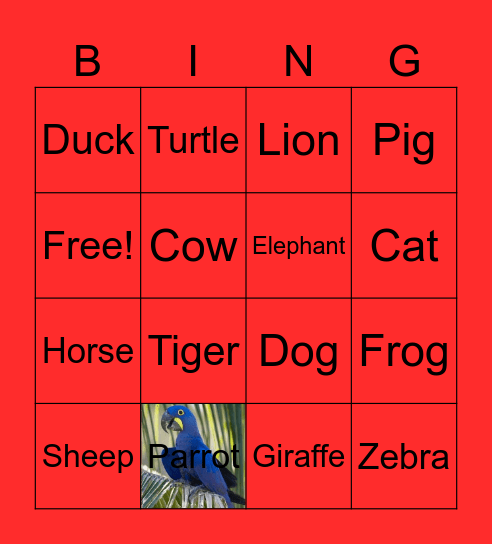Animals Bingo Card