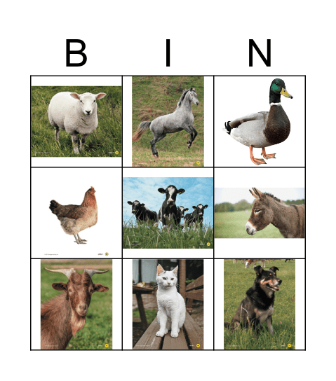 Farm Animals Bingo Card