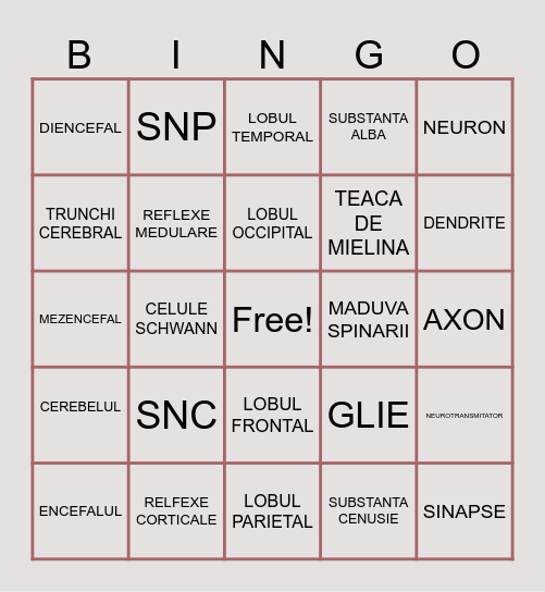 Bingo Sistemul Nervos Clasa A VII A Bingo Card