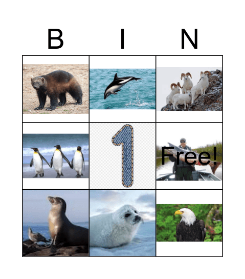 ALASKAN  ANIMALS Bingo Card