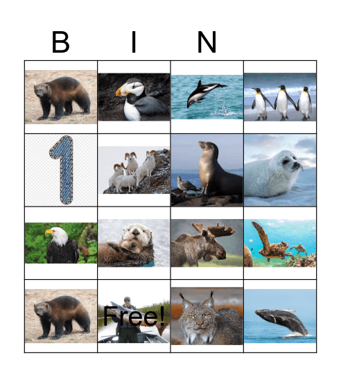 ALASKAN  ANIMALS Bingo Card