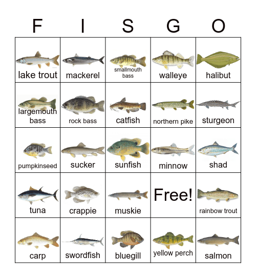 FISH BINGO Card