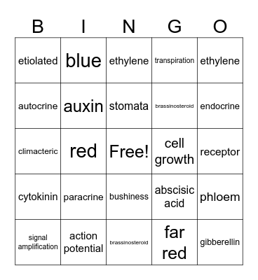 Plant Physiology Bingo 2 Bingo Card
