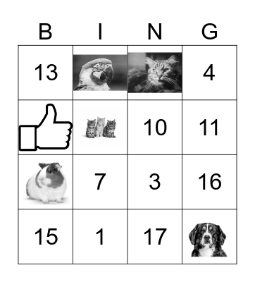 Pets and numbers Bingo Card
