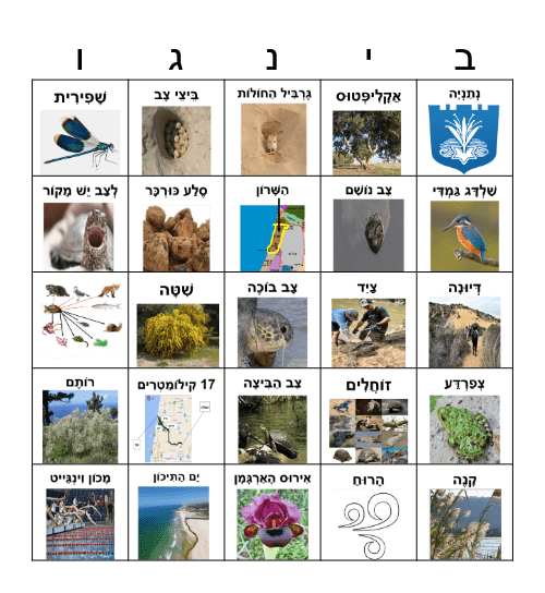 נחל פולג Bingo Card