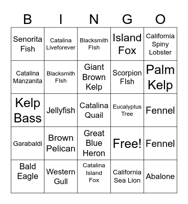 Catalina Bingo Card