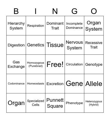 Levels of Organization/Human Body SYstems Bingo Card