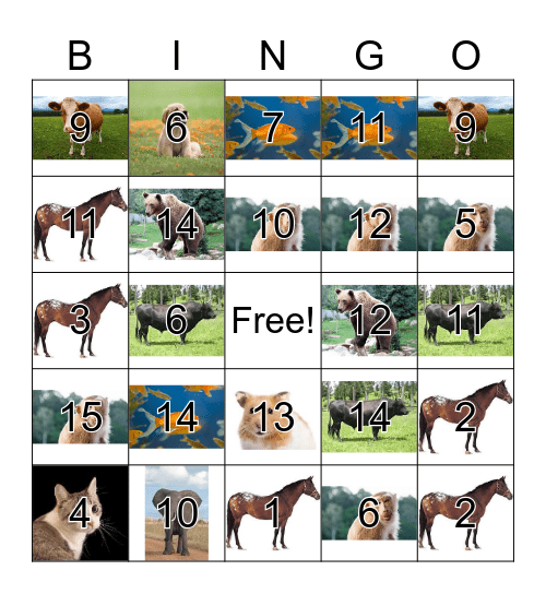 Animals with Numbers Bingo Card