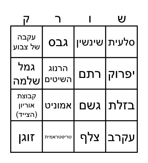 מסע פסח תשפ"ד Bingo Card