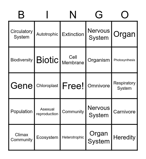 Ecosystems Vocabulary BINGO! Bingo Card