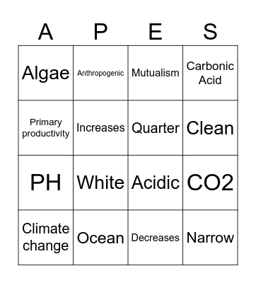 9.6 And 9.7 Bingo Card