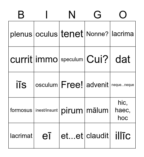 Cap VII Vocabula Bingo Card