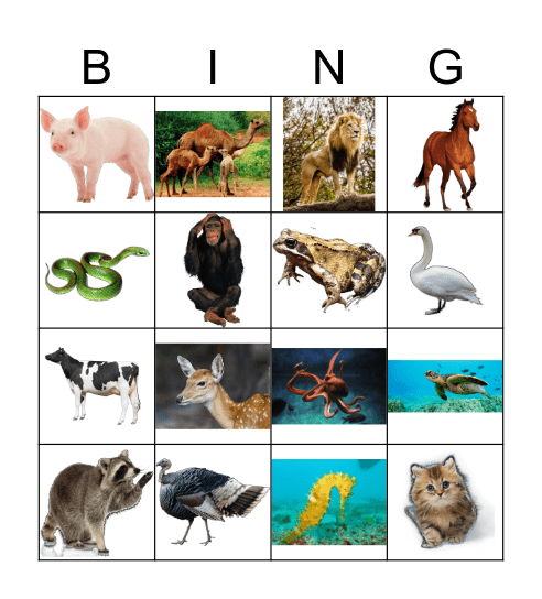 ANIMALS Bingo Card