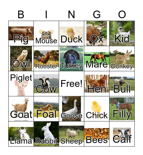 Farm Animals Bingo Card