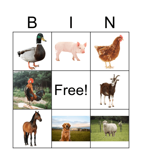 Farm animals Bingo Card