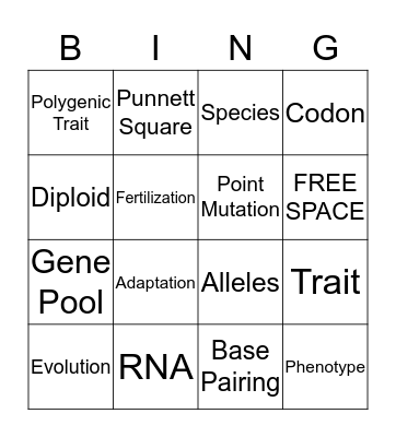 Genetics and Evolution Bingo Card