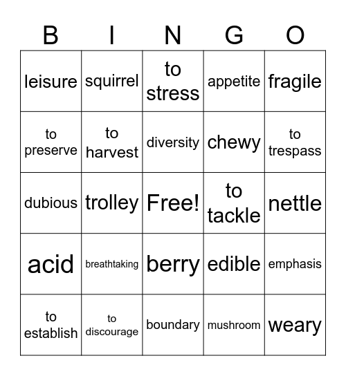 Bingo 6.1/6.2 Bingo Card