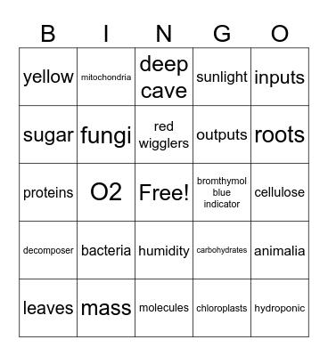 Photosynthesis and Cellular Respiration Bingo Card