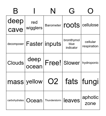 Photosynthesis and Cellular Respiration Bingo Card