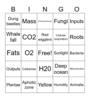 fs Bingo Card