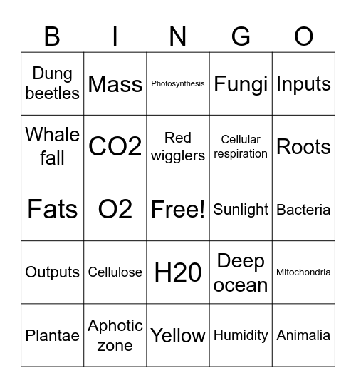 fs Bingo Card
