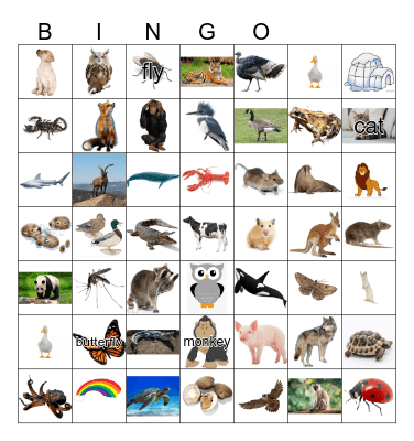 Animals Bingo Card