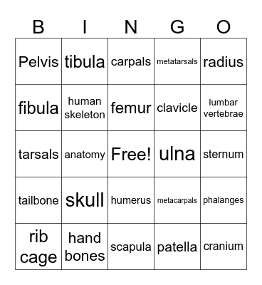 Medical Terms Bingo Card