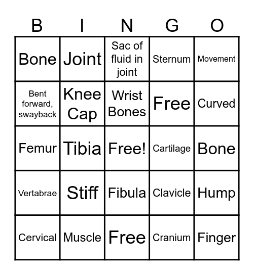 Musculoskeletal System Bingo Card