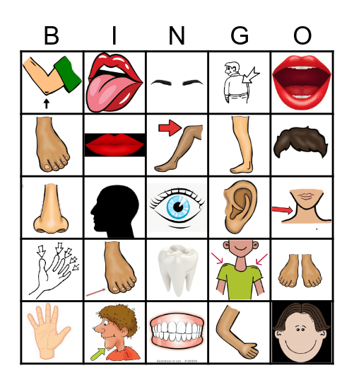 BODY PARTS Bingo Card