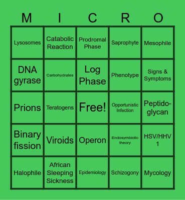 Unit 1-3 Review Bingo Card