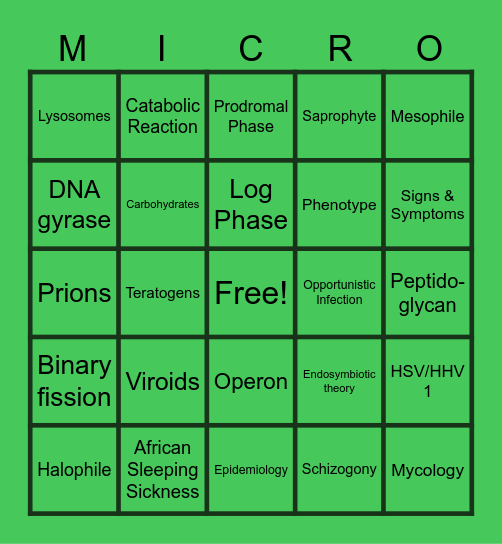 Unit 1-3 Review Bingo Card