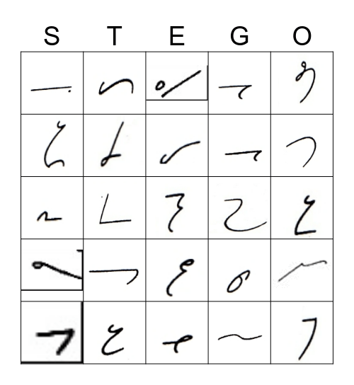 STEGO 3 Bingo Card