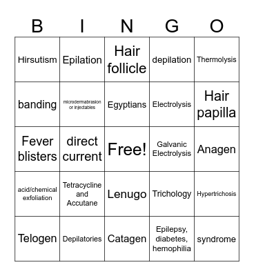 Ch. 11 Bingo Card