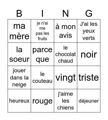 French vocabulary review Bingo Card