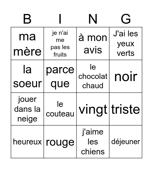 French vocabulary review Bingo Card