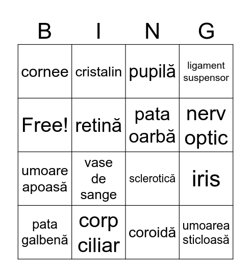 Ochiul- recapitulare Bingo Card