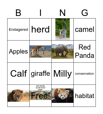 Chester Zoo Bingo Card
