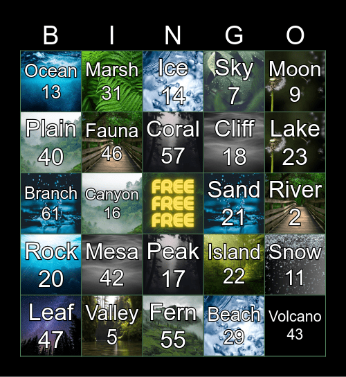 Nature Bingo Card