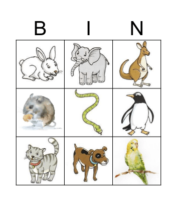 PETS AND ANIMALS Bingo Card