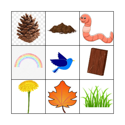 Nature Bingo Card