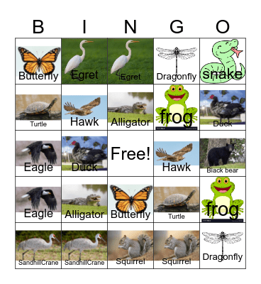 Florida Wildlife Bingo Card