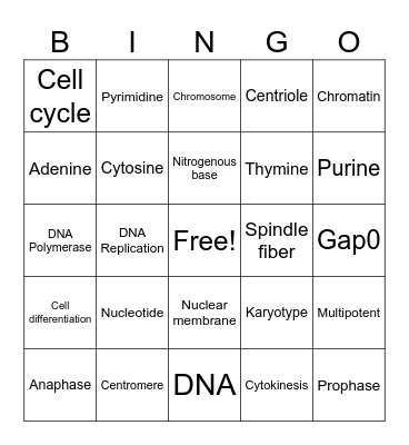 Development Vocabulary Bingo Card