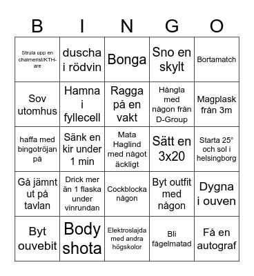 Skamfläcksbingo 2024 Bingo Card