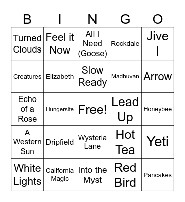 The Cap Run '24 Bingo! Bingo Card